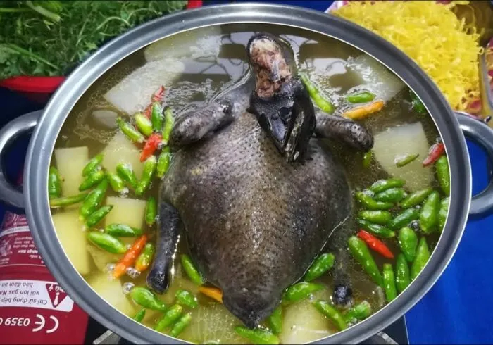 GÀ ÁC TIỀM ỚT HIỂM (Con)